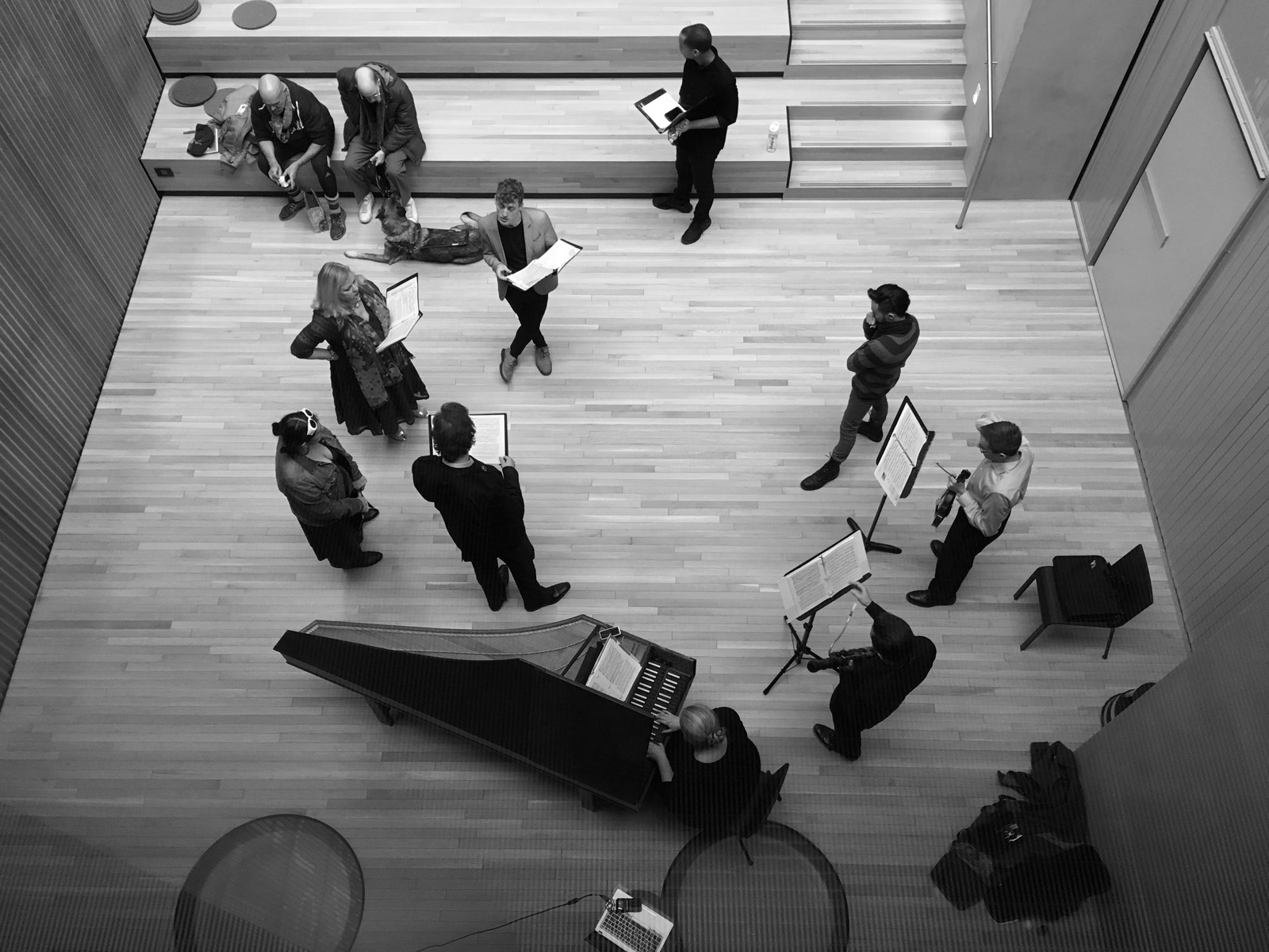 dec photo by chris protopapas b&amp;w